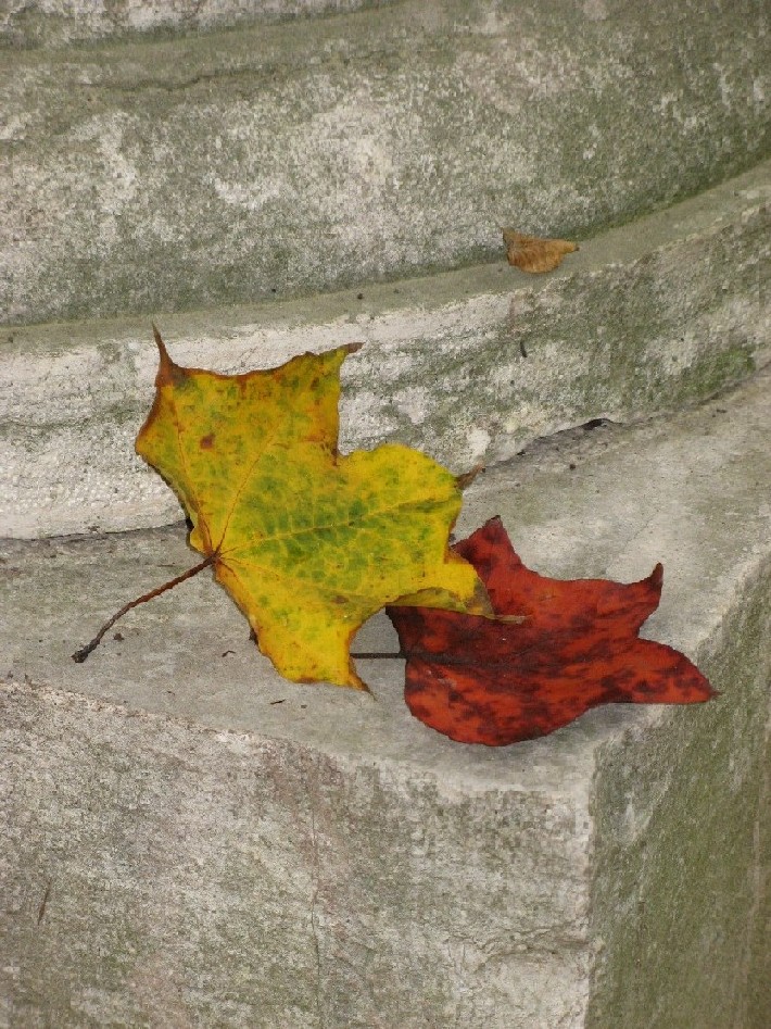 Autunno alpino